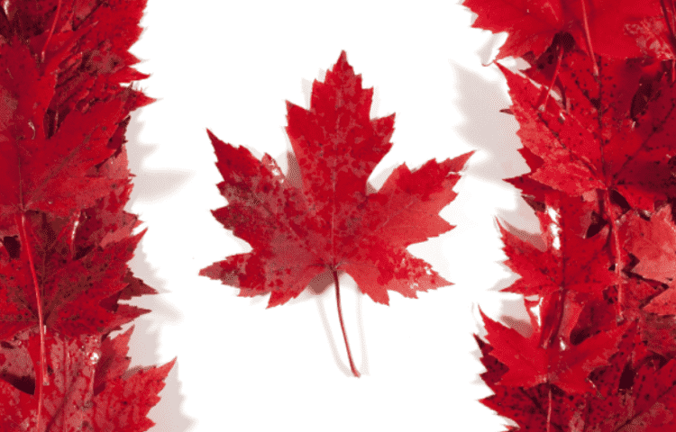 Canada’s Vision for 2021-2023